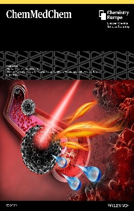 ChemMedChem的封面