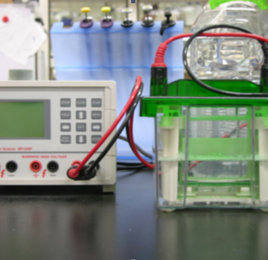 SDS-PAGE蛋白質電泳分析槽