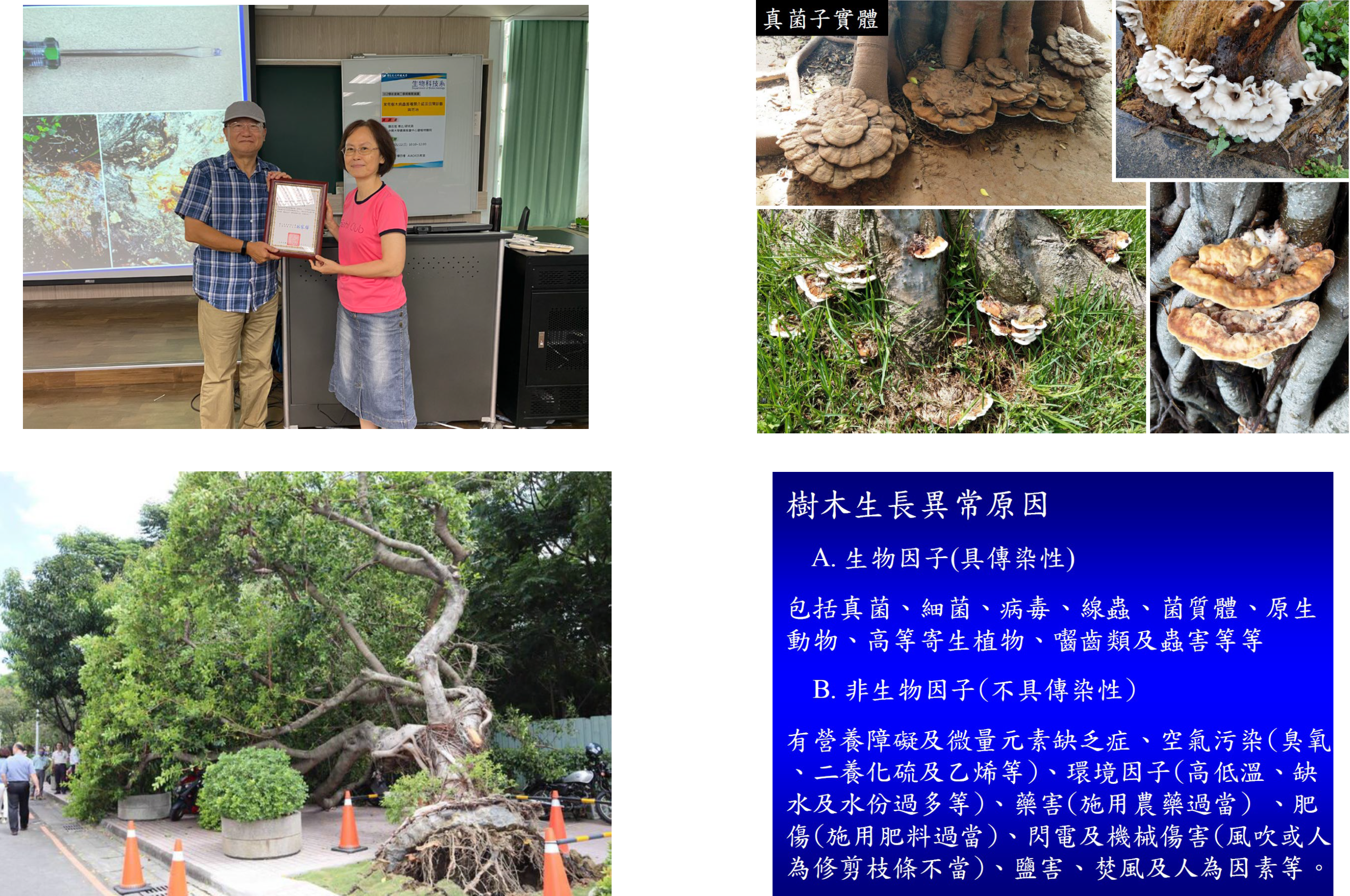 頒發感謝狀給顏志恆副研究員